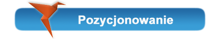 pozycjonowanie